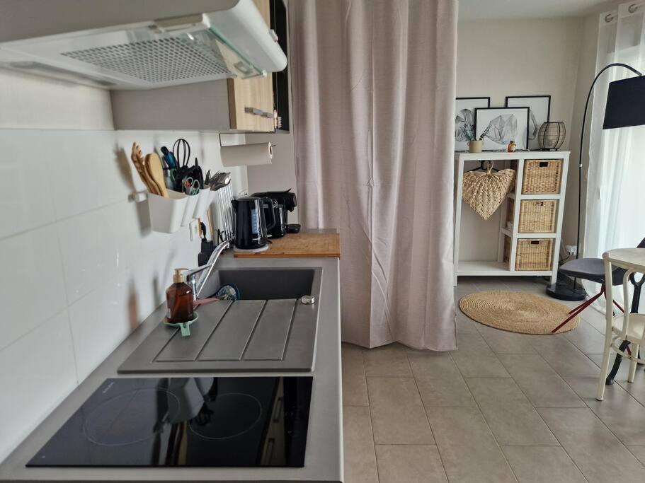 Appartamento Ambre Appart-wifi-terrasse-parking-terrasse-2 Couchages La Rochelle (Charente-Maritime)